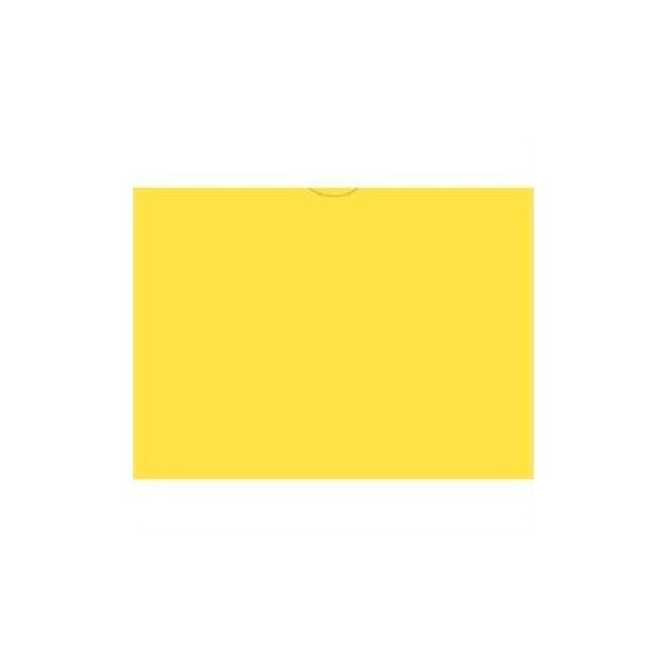 Asp Vhicl Deal Envelopes (Deal Jackets)Plain, 9" X 12", 100 Per Pk:Yellow Pk 5210